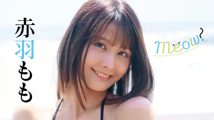 赤羽もも『Meow！』