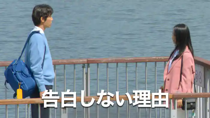 告白しない理由