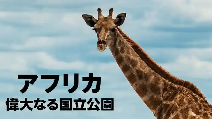 アフリカ 偉大なる国立公園