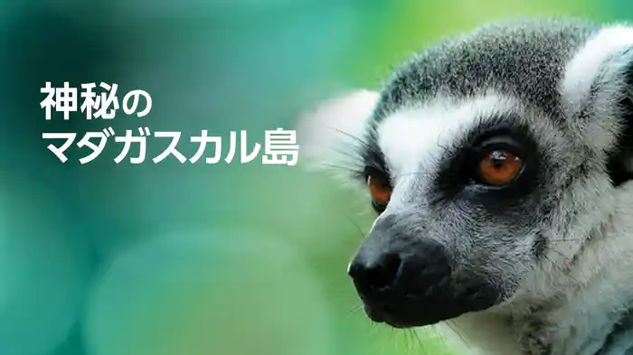 神秘のマダガスカル島