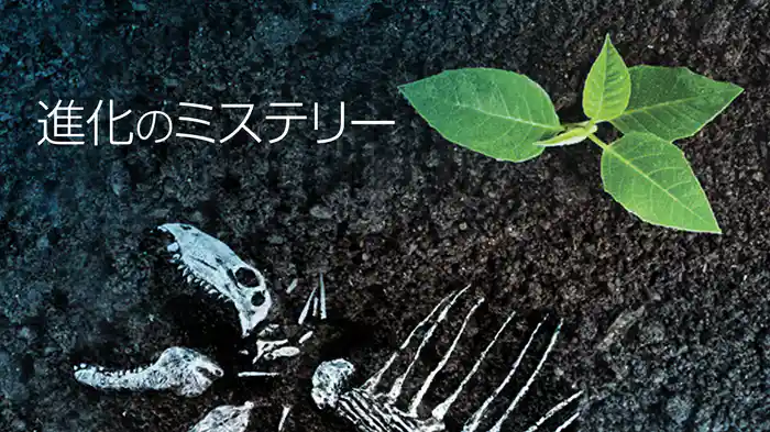 進化のミステリー