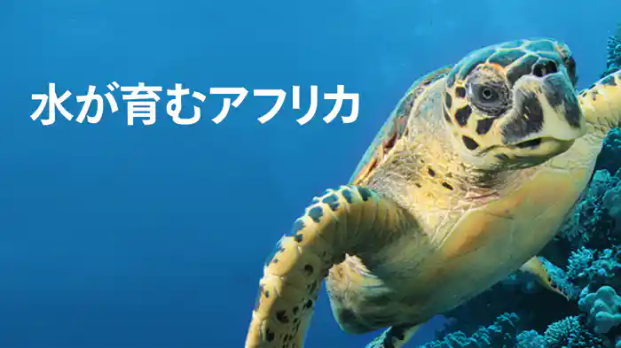 水が育むアフリカ