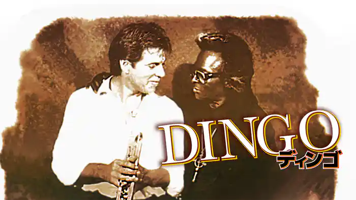 ディンゴ
