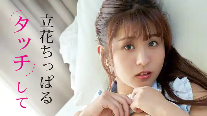 立花ちっぱる『タッチして』