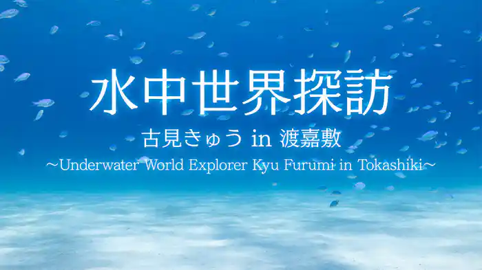 水中世界探訪：古見きゅう in 渡嘉敷～Underwater World Explorer: Kyu Furumi in Tokashiki～