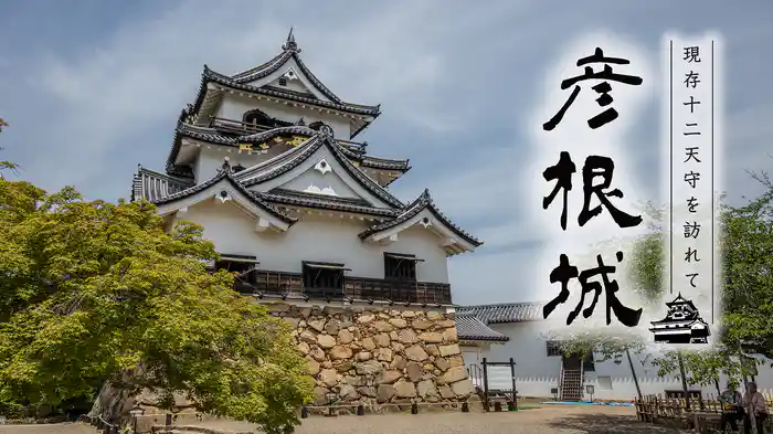 現存12天守を訪れて 彦根城