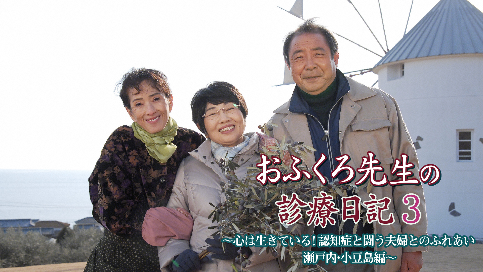 おふくろ先生の診療日記3～心は生きている!認知症と闘う夫婦とのふれあい 瀬戸内･小豆島編～ - サムネイル