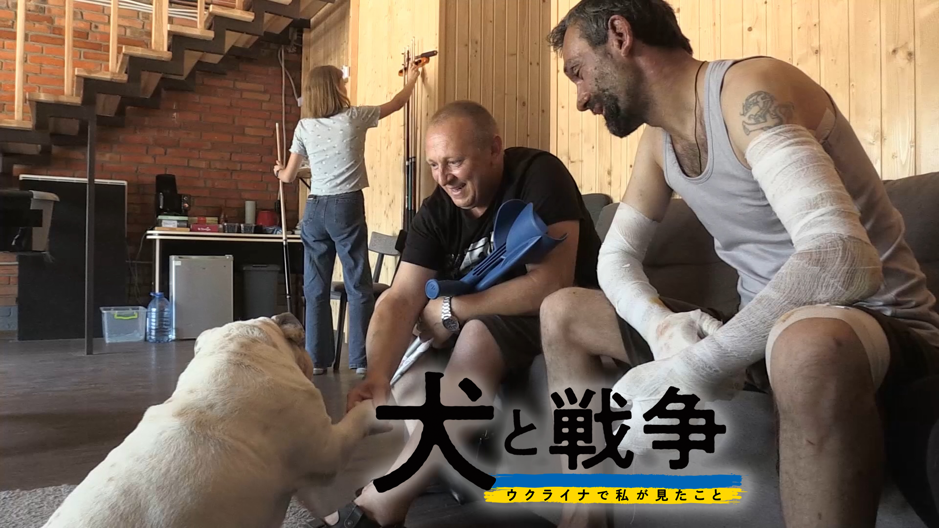 犬と戦争　ウクライナで私が見たこと - サムネイル
