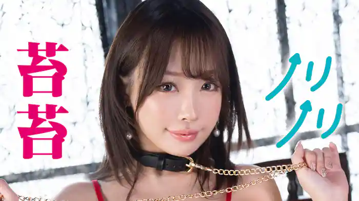 苔苔『ノリノリ』