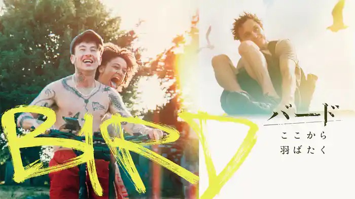 バード　ここから羽ばたく