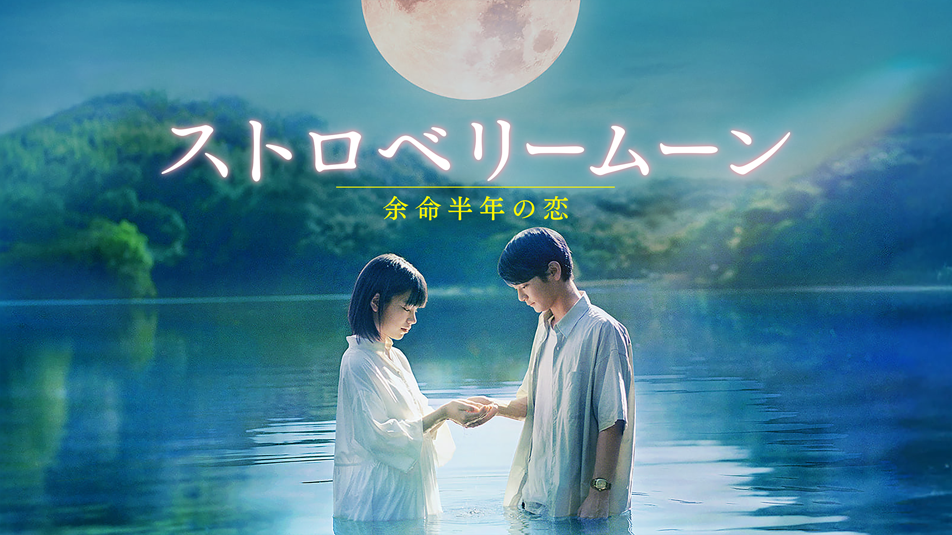 映画|ストロベリームーン 余命半年の恋の配信まとめ!動画をフルで無料視聴できるサブスクを紹介 映画|ストロベリームーン 余命半年の恋の配信まとめ!動画をフルで無料視聴できるサブスクを紹介