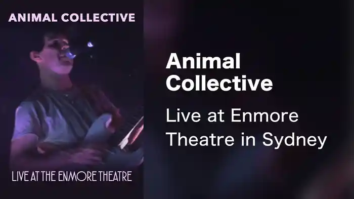 Animal Collective - Live at Enmore Theatre in Sydney