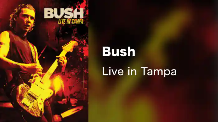 Bush - Live in Tampa