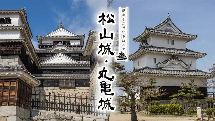 現存12天守を訪れて 松山城・丸亀城