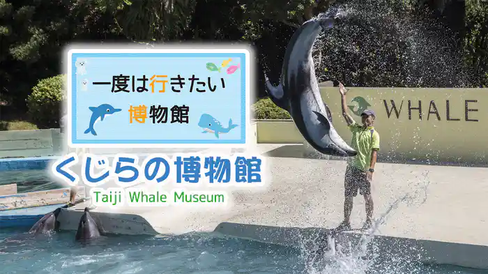 一度は行きたい博物館 くじらの博物館