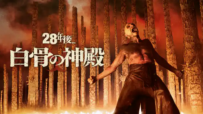 28年後... 白骨の神殿
