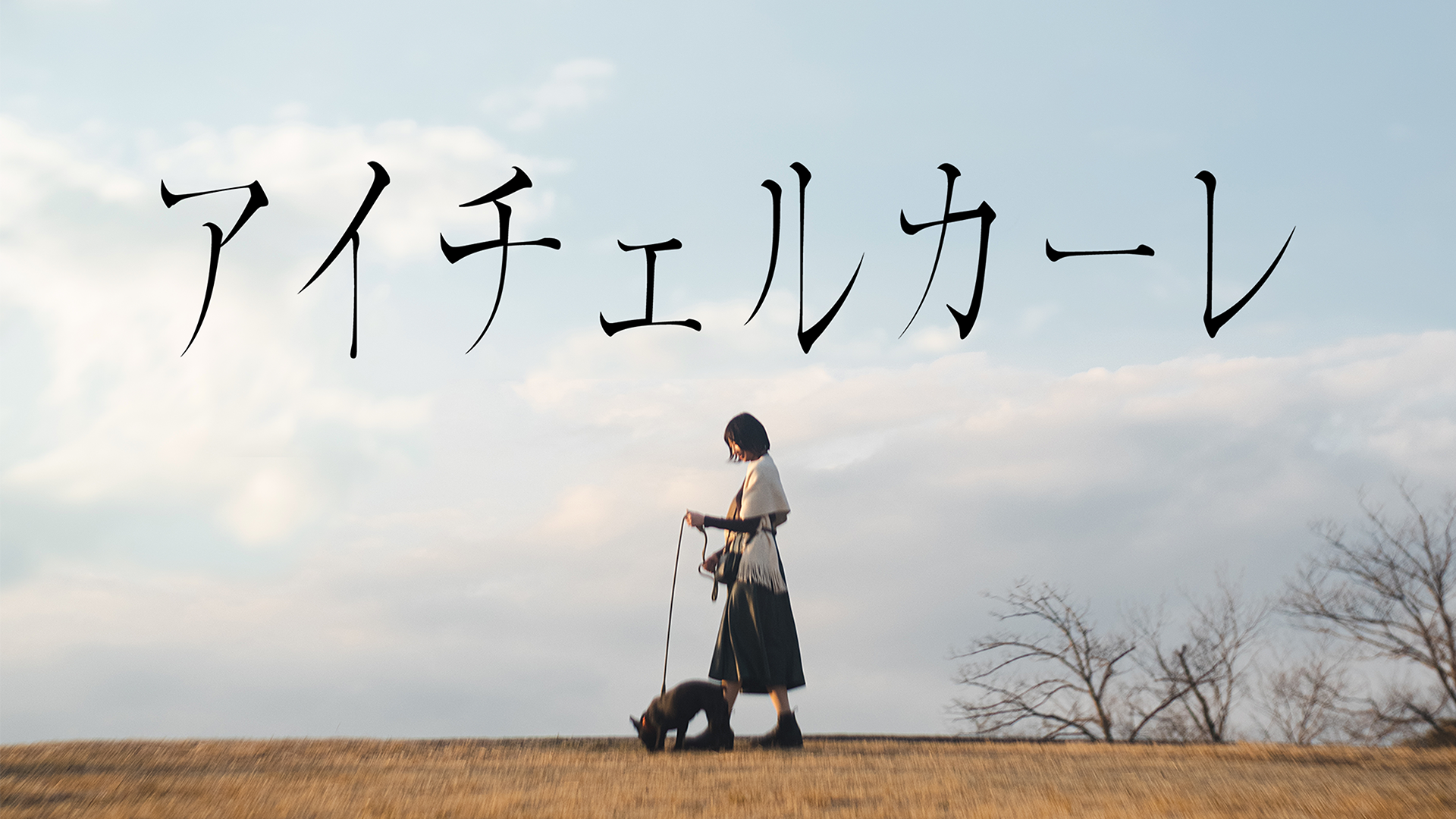 アイチェルカーレ - サムネイル