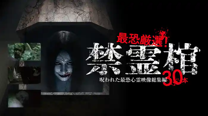 最恐厳選！禁霊棺 呪われた最恐心霊映像総集編30本