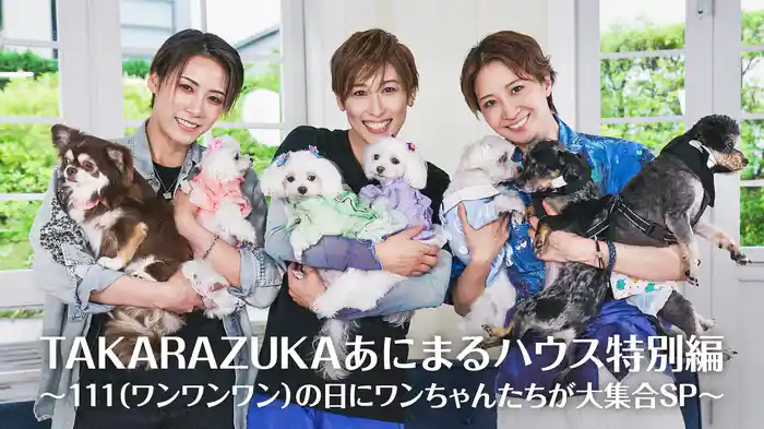 TAKARAZUKAあにまるハウス特別編～111（ワンワンワン）の日にワンちゃんたちが大集合SP～