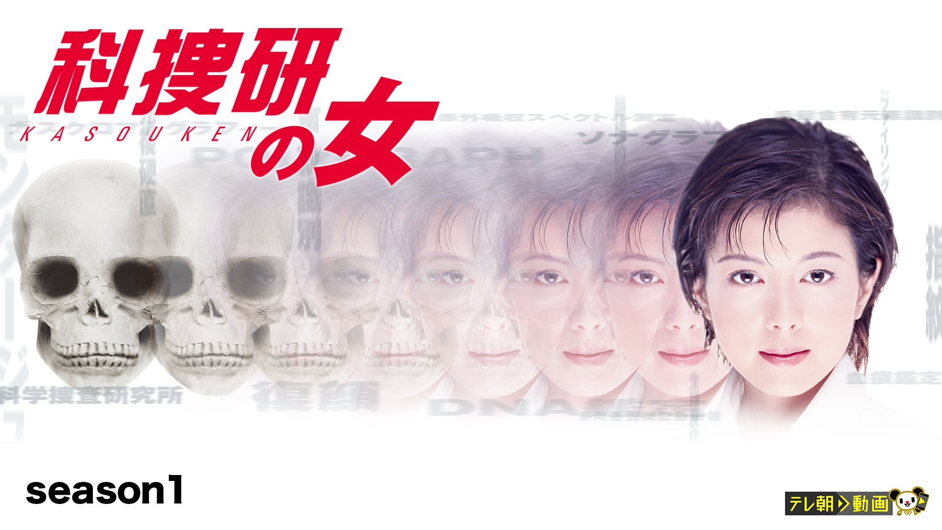 科捜研の女 season1 - サムネイル