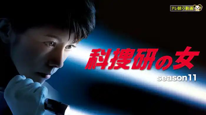 科捜研の女 season11