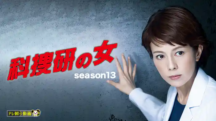 科捜研の女 season13