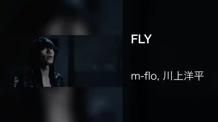 FLY