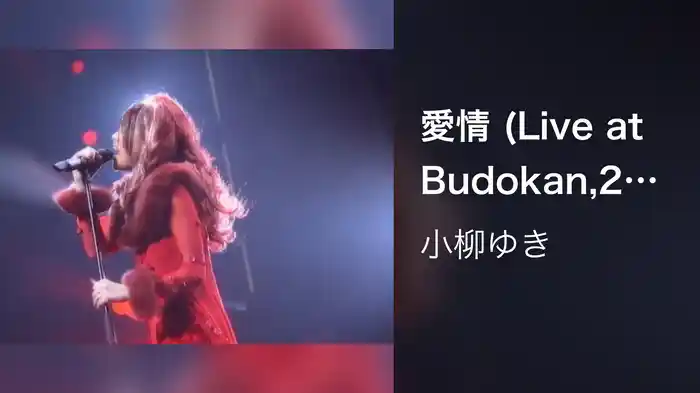 愛情 (Live at Budokan,2000)