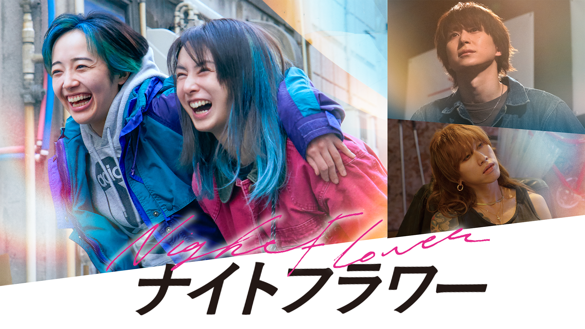 映画｜ナイトフラワーの配信まとめ！動画をフルで無料視聴できるサブスクを紹介