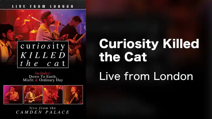 Curiosity Killed the Cat - Live from London