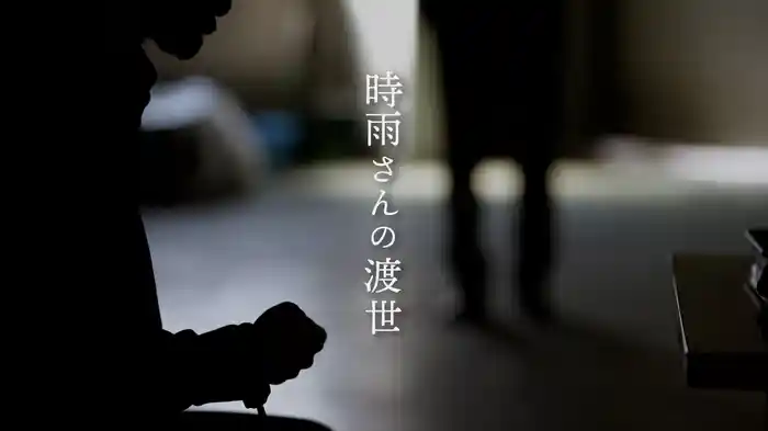 時雨さんの渡世