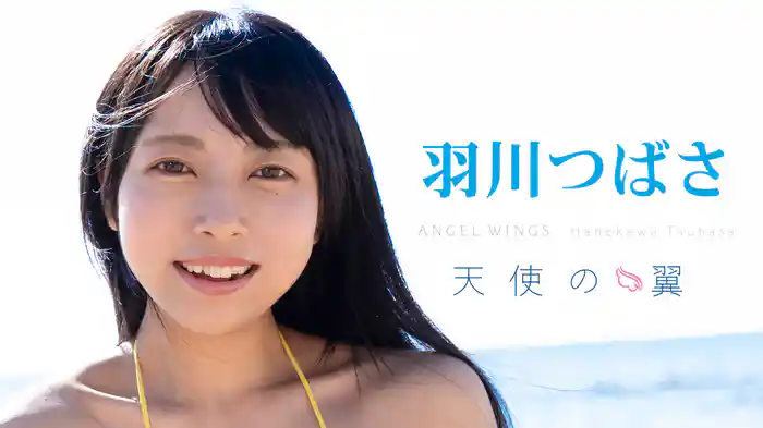 羽川つばさ『天使の翼』