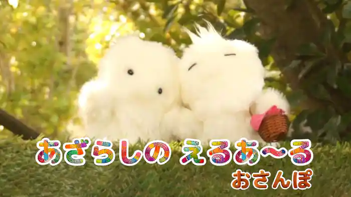 あざらしのえるあ～る おさんぽ