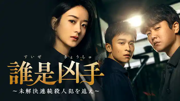 誰是凶手～未解決連続殺人犯を追え～