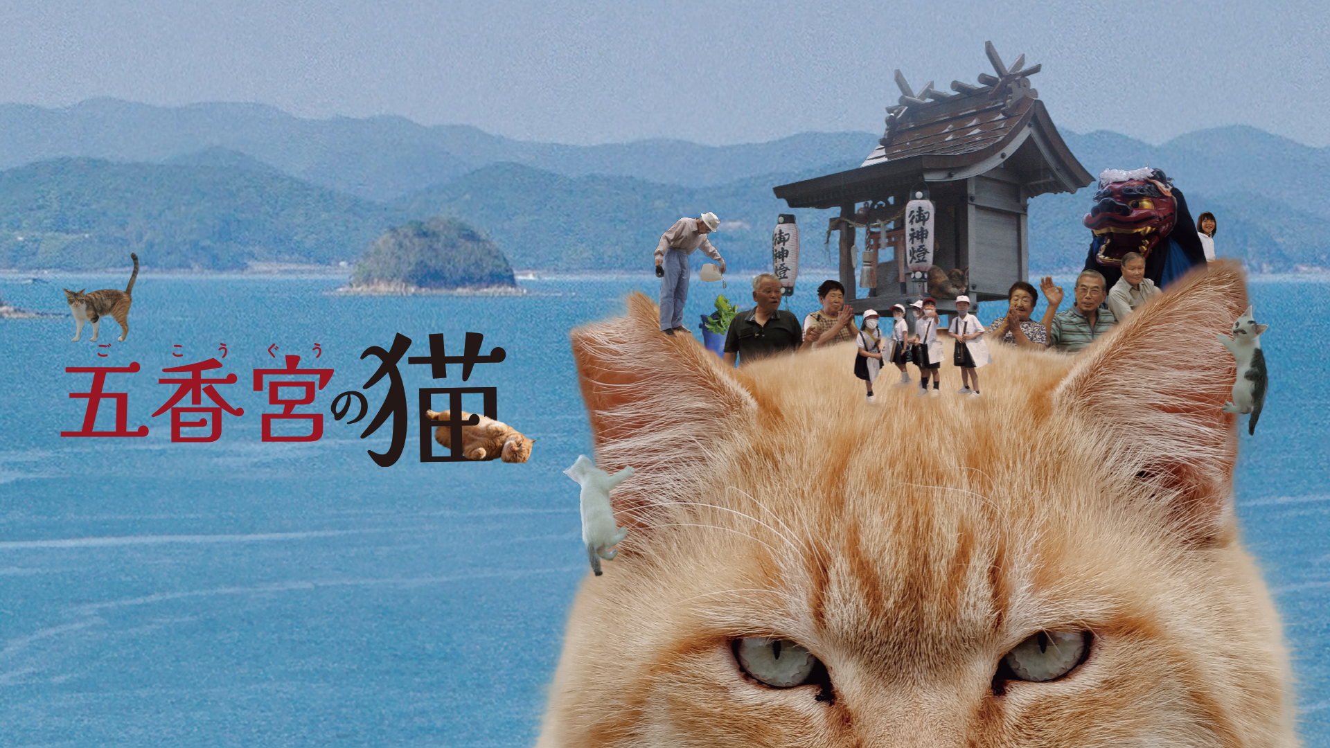 五香宮の猫 - サムネイル