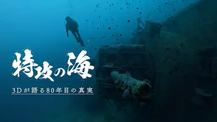 特攻の海　～3Dが語る80年目の真実～