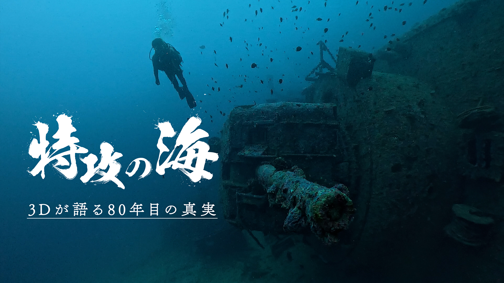 特攻の海　～3Dが語る80年目の真実～ - サムネイル