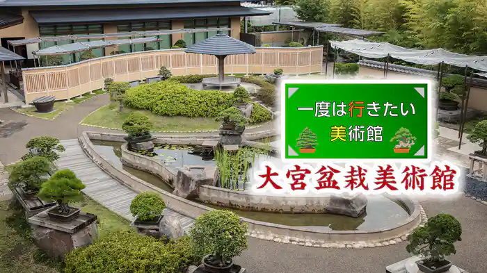 一度は行きたい美術館 大宮盆栽美術館