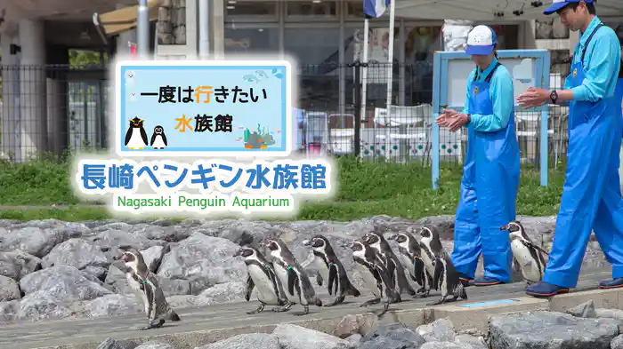 一度は行きたい水族館 長崎ペンギン水族館