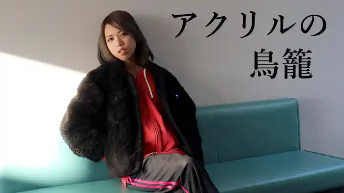 アクリルの鳥籠