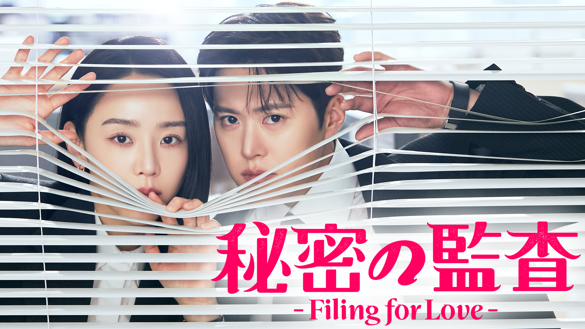 韓国ドラマ｜秘密の監査 -Filing for Love-の配信まとめ！動画を全話無料視聴できるサブスクを紹介