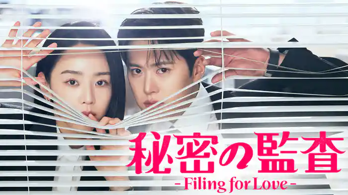 秘密の監査 -Filing for Love-