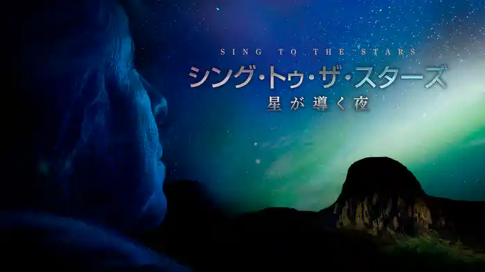 シング・トゥ・ザ・スターズ 星が導く夜