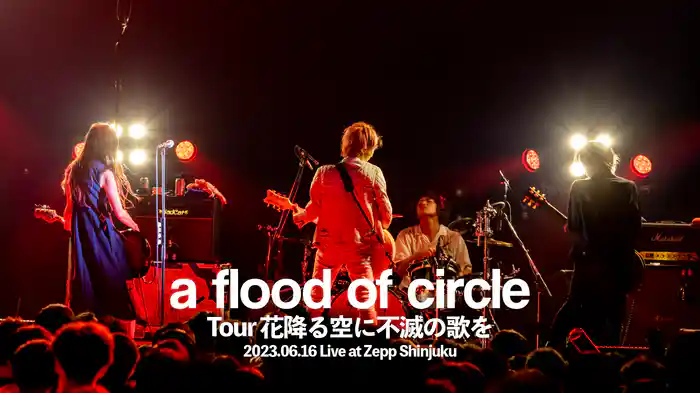 a flood of circle】ライブ映像配信中！ - 動画配信 | U-NEXT 31日間