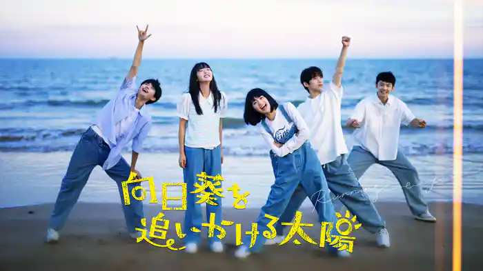 向日葵を追いかける太陽