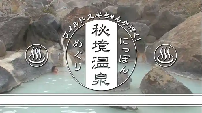 ワイルドスギちゃんが行く！にっぽん秘境温泉めぐり