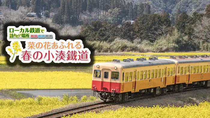 ローカル鉄道で訪れたい場所 菜の花あふれる春の小湊鐵道
