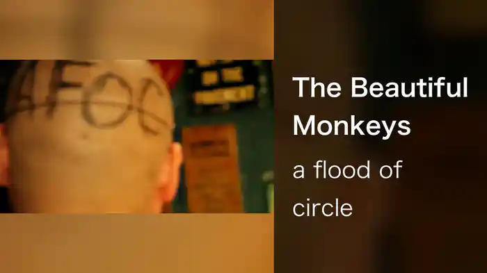 The Beautiful Monkeys