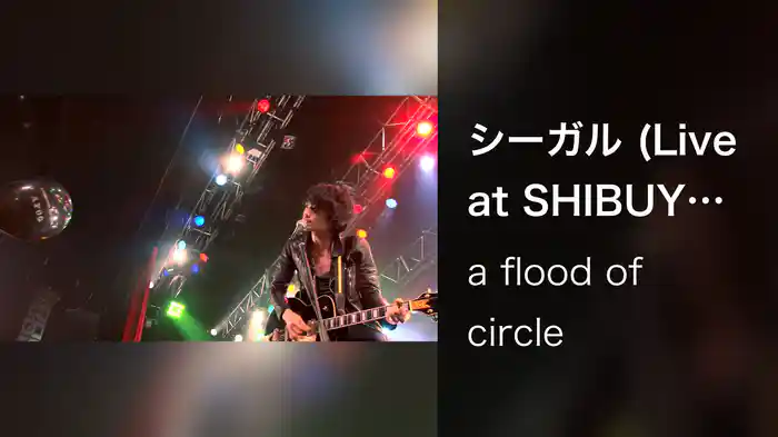 シーガル (Live at SHIBUYA-AX, Tokyo, 2012.04.15)
