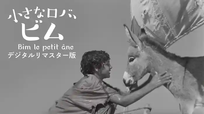 小さなロバ、ビム デジタルリマスター版